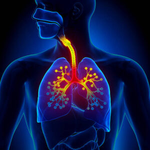 Curso: «Fisioterapia Respiratoria en Pacientes Neurológicos» ¡Acreditación en trámite!