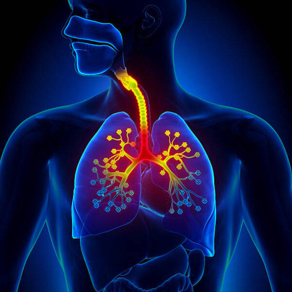 Curso: «Fisioterapia Respiratoria en Pacientes Neurológicos» ¡Acreditación en trámite!